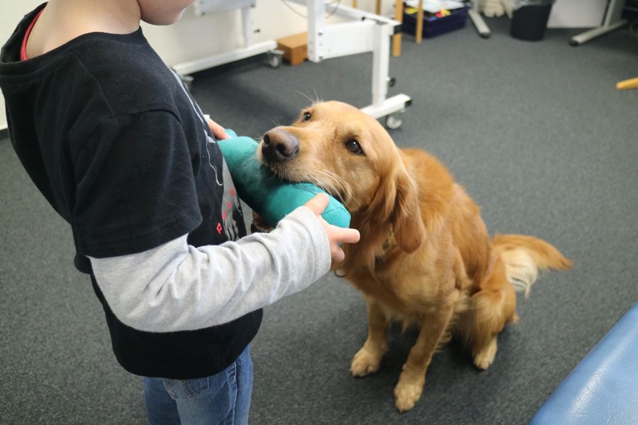 Praxis für Ergotherapie Therapiehund